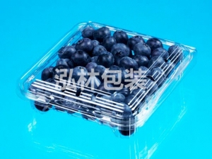 型號：藍莓盒規格：110 110 42